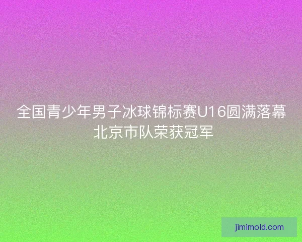 全国青少年男子冰球锦标赛U16圆满落幕 北京市队荣获冠军